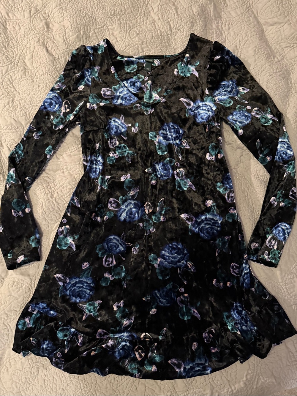 Wild Fable goth romantic Black Velvet Floral Dress with Blue Rose Print